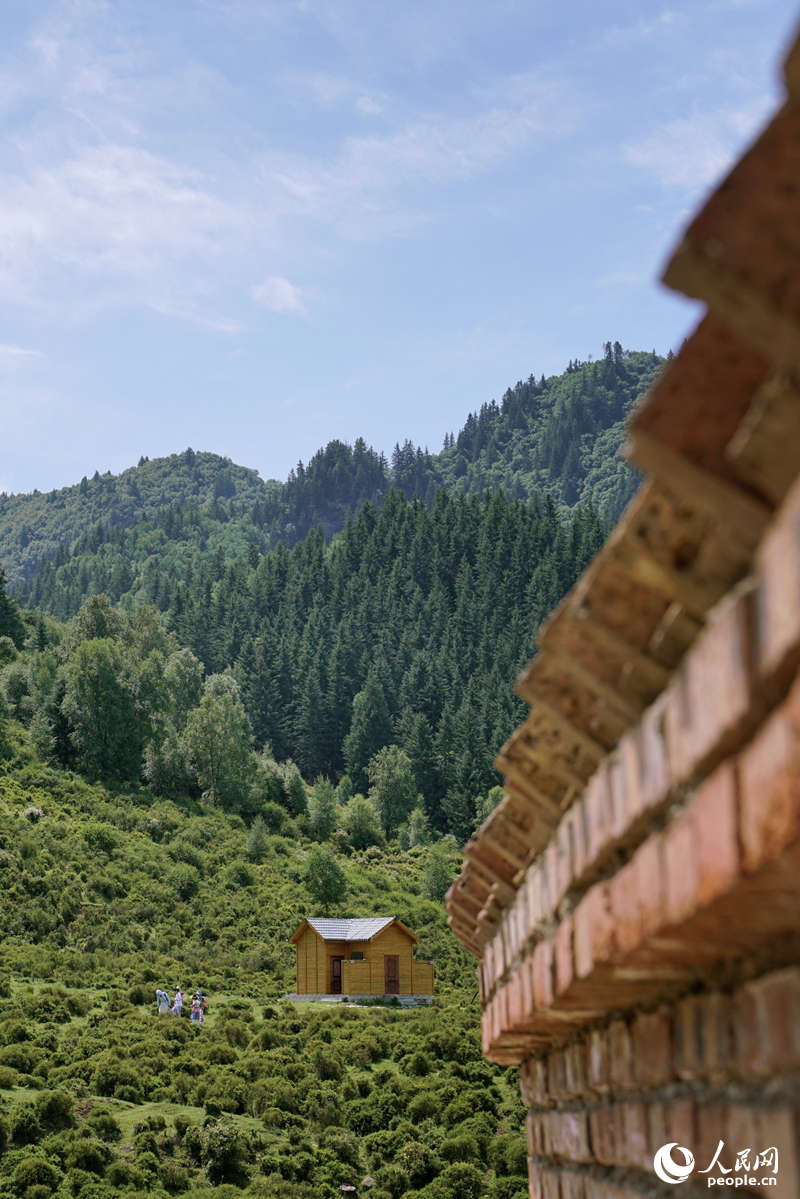 夏日的群加國(guó)家森林公園。人民網(wǎng) 皇甫萬(wàn)里攝