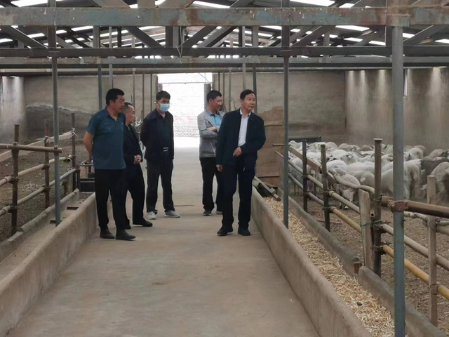 開展專項(xiàng)巡查工作。湟中區(qū)委宣傳部供圖