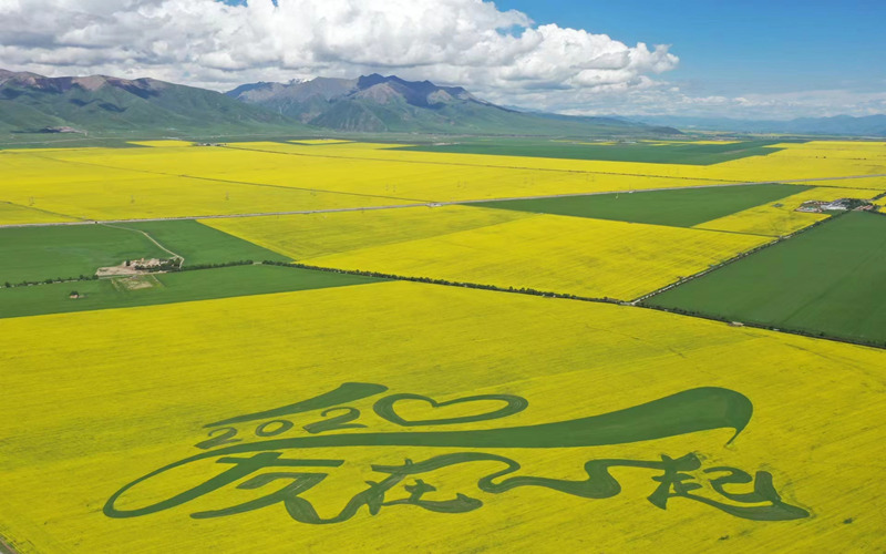 祁連山腹地美景。華旦才讓攝