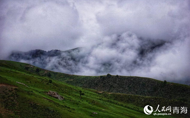 云霧繚繞的柏樹(shù)山。人民網(wǎng) 況玉攝