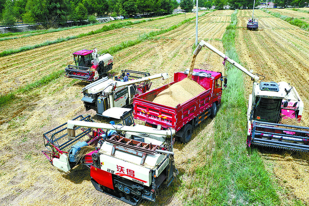 顆粒歸倉。孫海玲攝