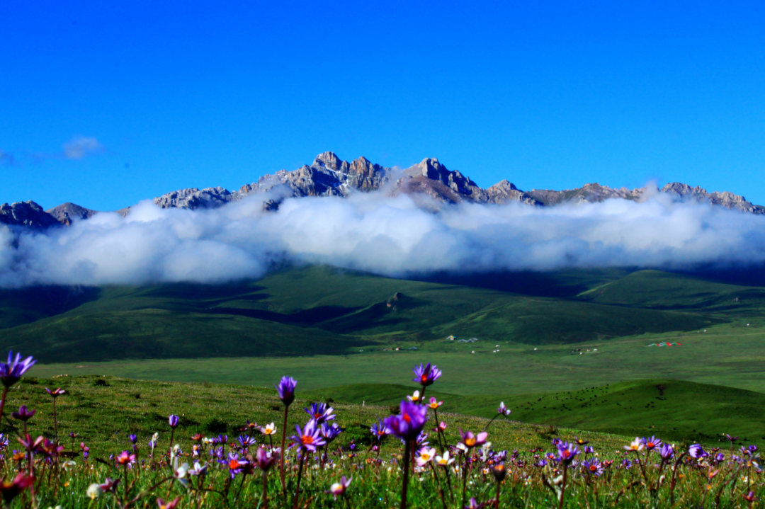 果洛風(fēng)光。青海省文化和旅游廳供圖