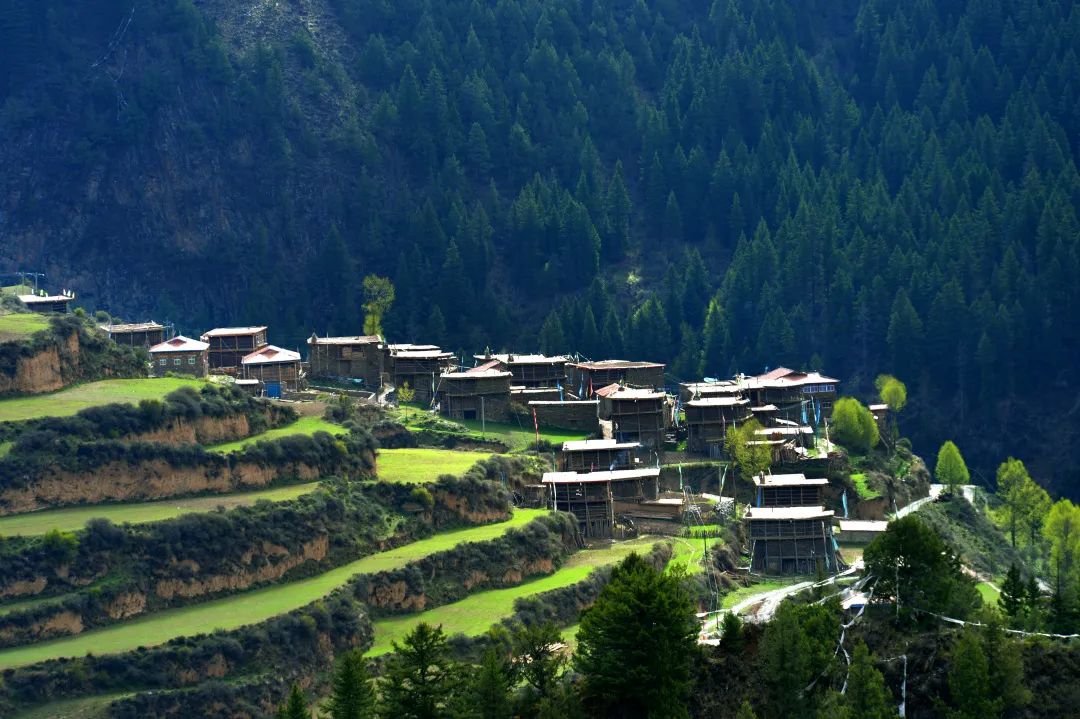 斑馬碉樓群。青海省文化和旅游廳供圖