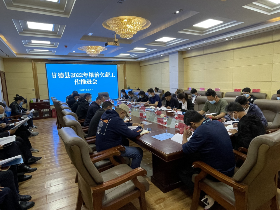 工作推進(jìn)會現(xiàn)場。甘德縣委宣傳部供圖