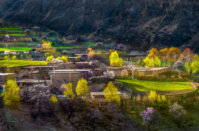 西域勝境·神韻黃南。青海省文化和旅游廳供圖