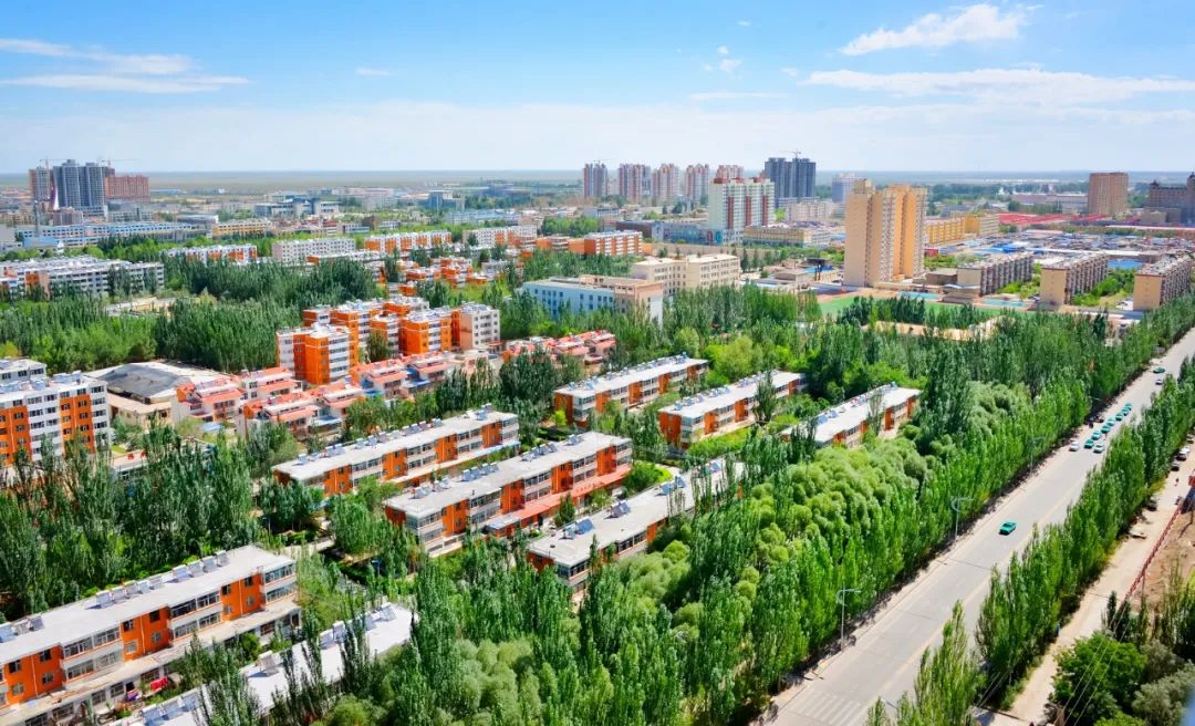 市區(qū)綠化。