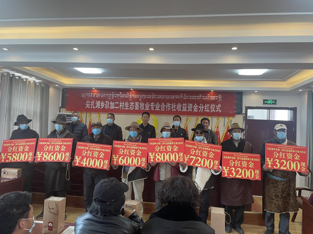 分紅儀式現(xiàn)場(chǎng)。尖扎縣委宣傳部供圖