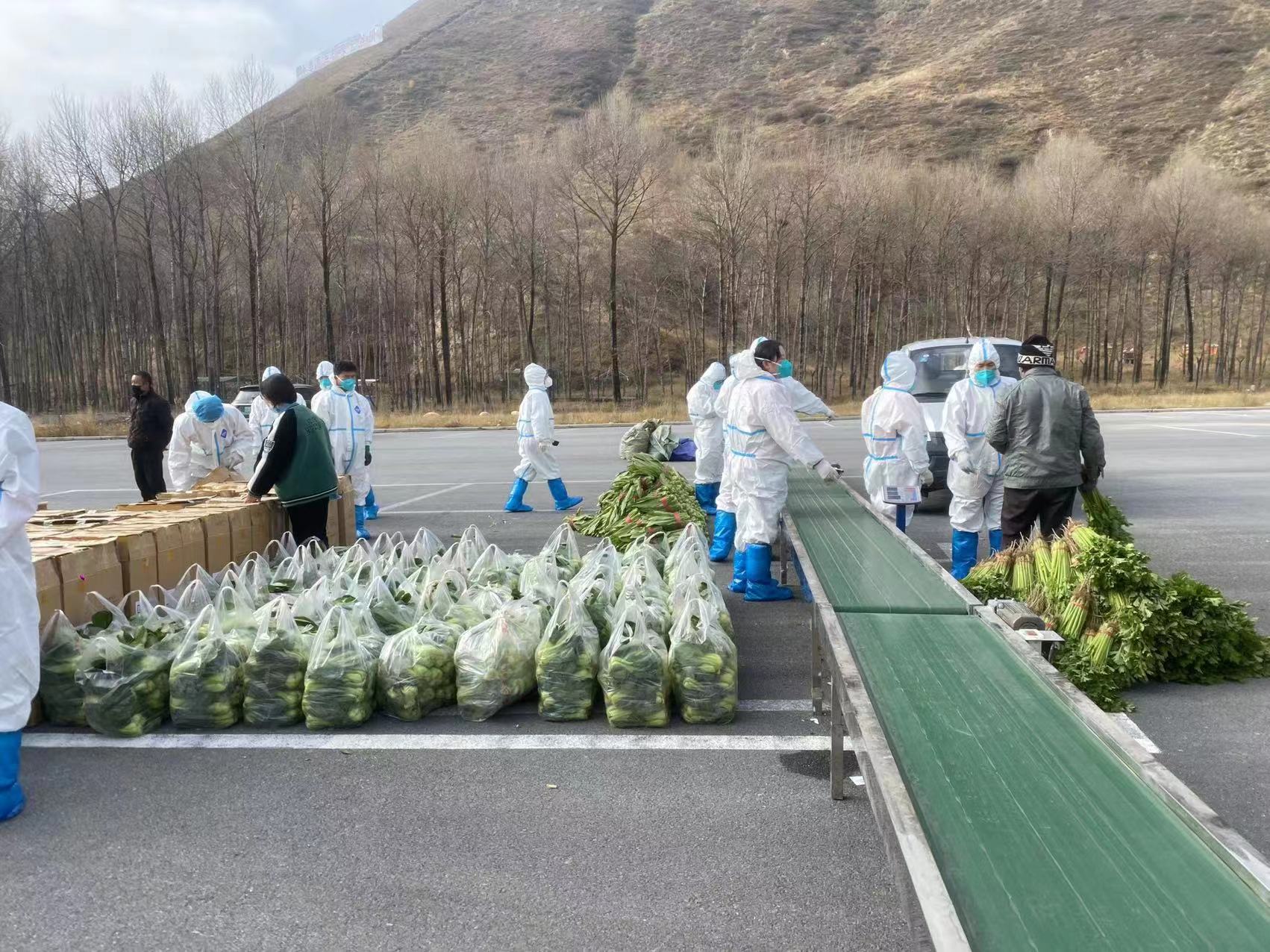 湟中區(qū)蔬菜代銷現(xiàn)場(chǎng)。湟中區(qū)委宣傳部供圖