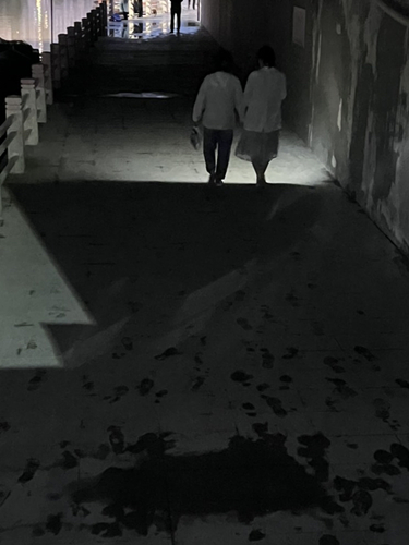 五四橋下的人行通道沒有路燈。留言人供圖