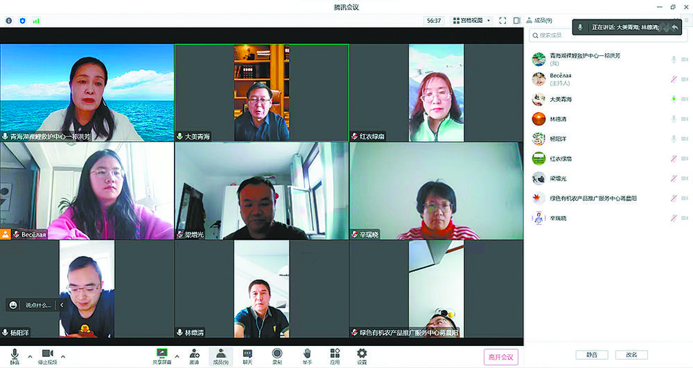 祁洪芳代表與各機關同事在線上學習交流黨的二十大精神。圖片由祁洪芳本人供圖