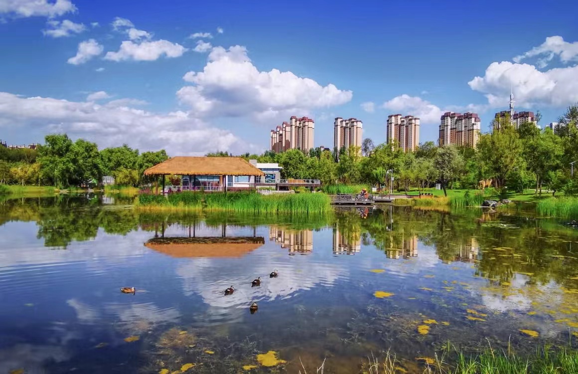 城市濕地。西寧市河湖長制辦公室供圖