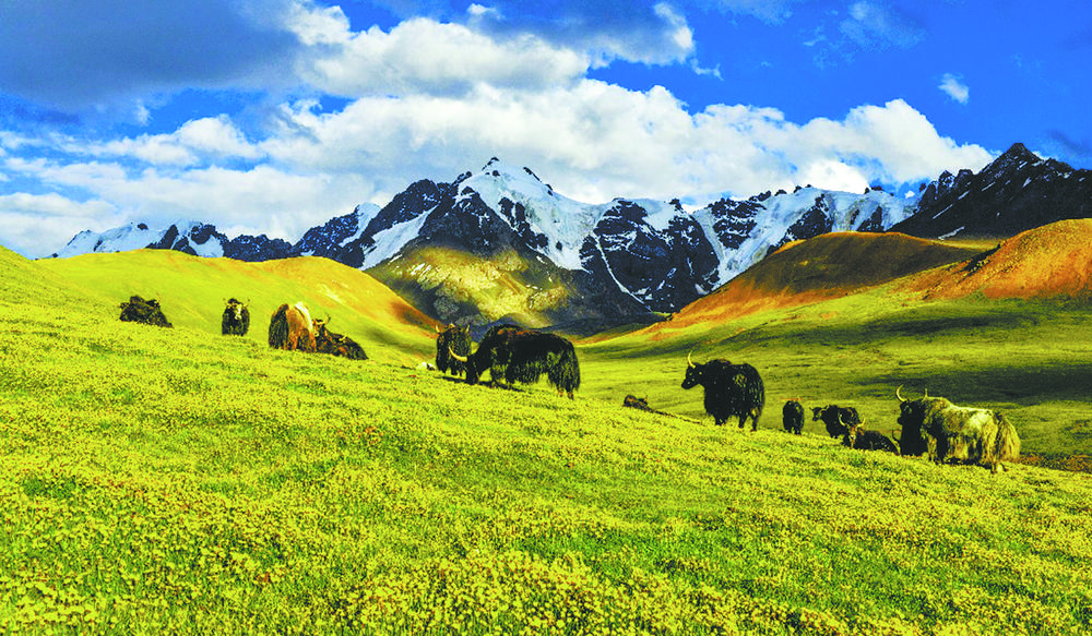 江源景色。玉樹州生態(tài)環(huán)境局供圖