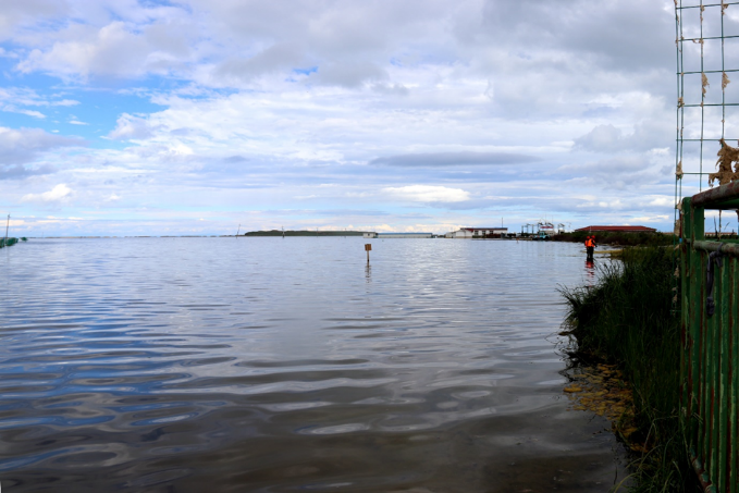 青海湖水生態(tài)環(huán)境保護修復(fù)典型案例-治理后