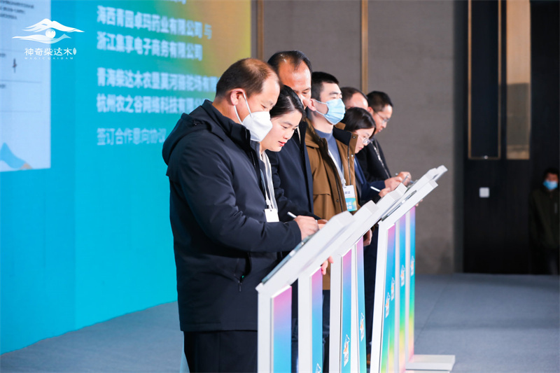 會(huì)議現(xiàn)場(chǎng)。海西州委宣傳部供圖