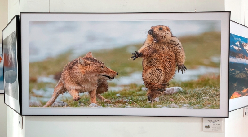 參展作品。人民網(wǎng) 況玉攝