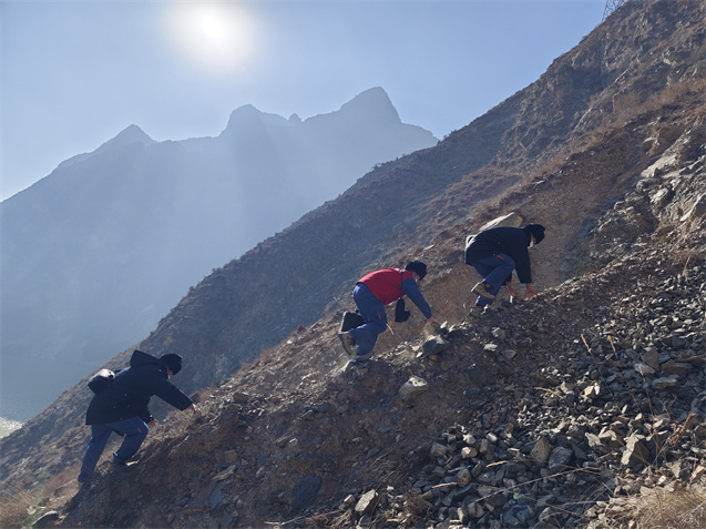 2月1日，國網(wǎng)青海省電力公司運(yùn)維人員對循化清水鄉(xiāng)黃河庫區(qū)330千伏公官II回線路開展巡視工作（拍攝：鄒建華）