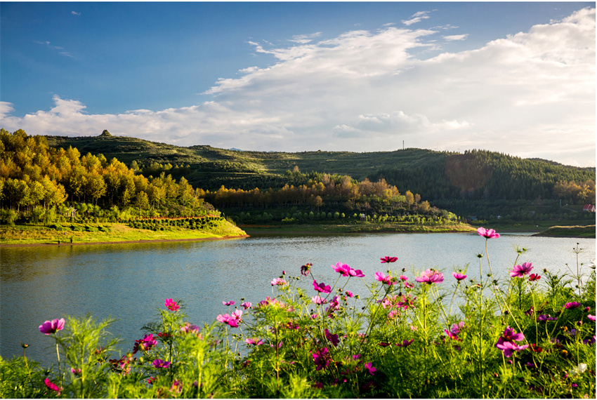 美麗的蓮花湖。白永花攝