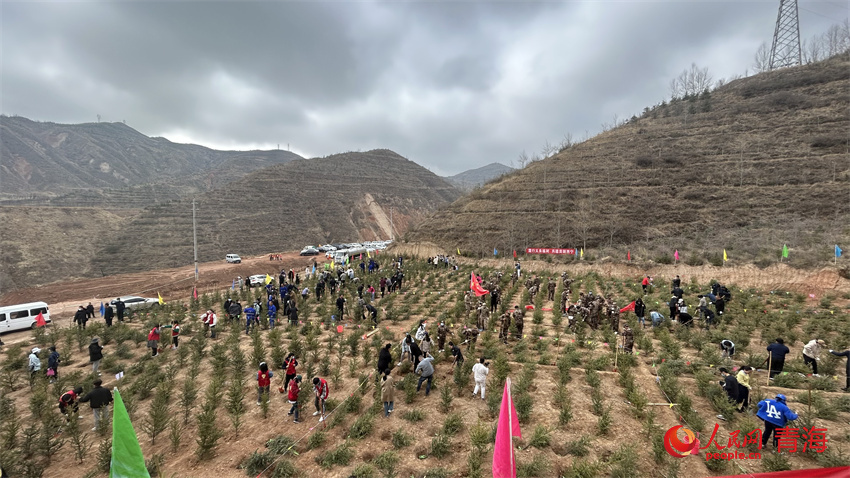 植樹現(xiàn)場(chǎng)。人民網(wǎng) 陳明菊攝