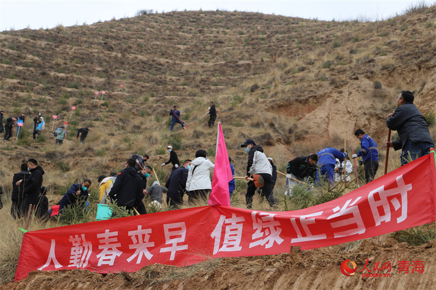 植樹現(xiàn)場(chǎng)。人民網(wǎng) 陳明菊攝
