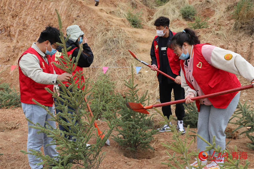 植樹現(xiàn)場(chǎng)。人民網(wǎng) 陳明菊攝