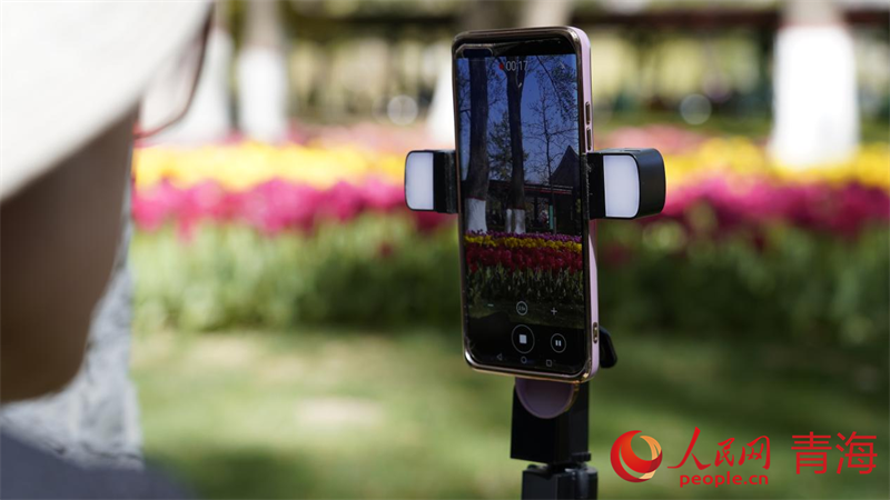 游客駐足拍照。人民網(wǎng) 況玉攝