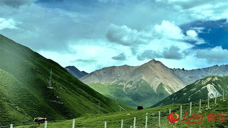 果洛風(fēng)光。人民網(wǎng) 劉沛然攝