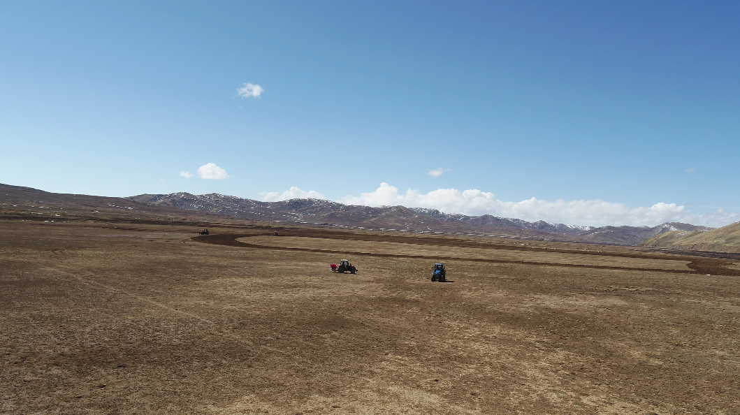 治理前的草場(chǎng)。達(dá)日縣自然資源和林業(yè)草原局供圖