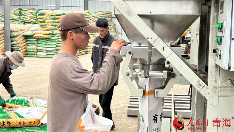 甘德當(dāng)?shù)貑T工在雪山農(nóng)牧業(yè)科技發(fā)展有限公司有機(jī)肥生產(chǎn)車間里進(jìn)行包裝作業(yè)。人民網(wǎng) 劉沛然攝