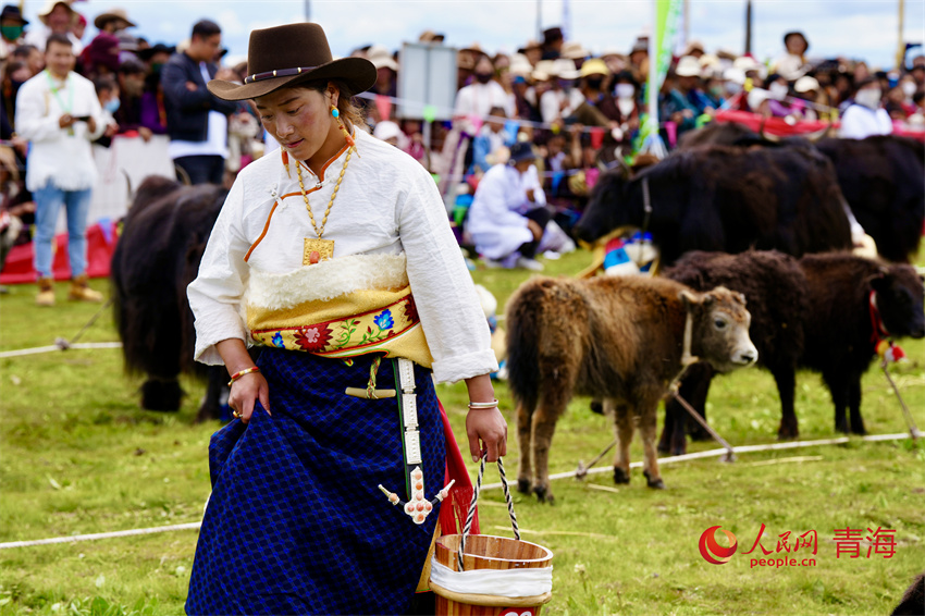 擠牦牛奶大賽。人民網(wǎng) 陳明菊攝
