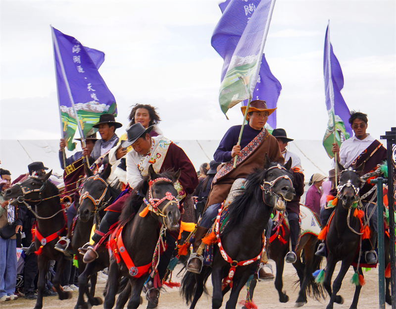 千匹駿馬行天峻。天峻縣委宣傳部供圖