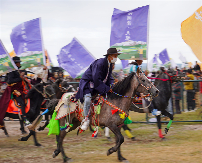 千匹駿馬行天峻。天峻縣委宣傳部供圖