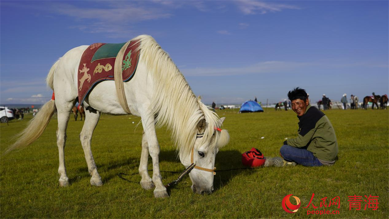 歡聚草原。人民網(wǎng) 況玉攝