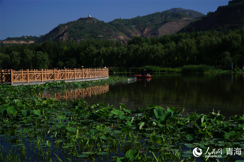 北山美麗園。人民網(wǎng) 況玉攝