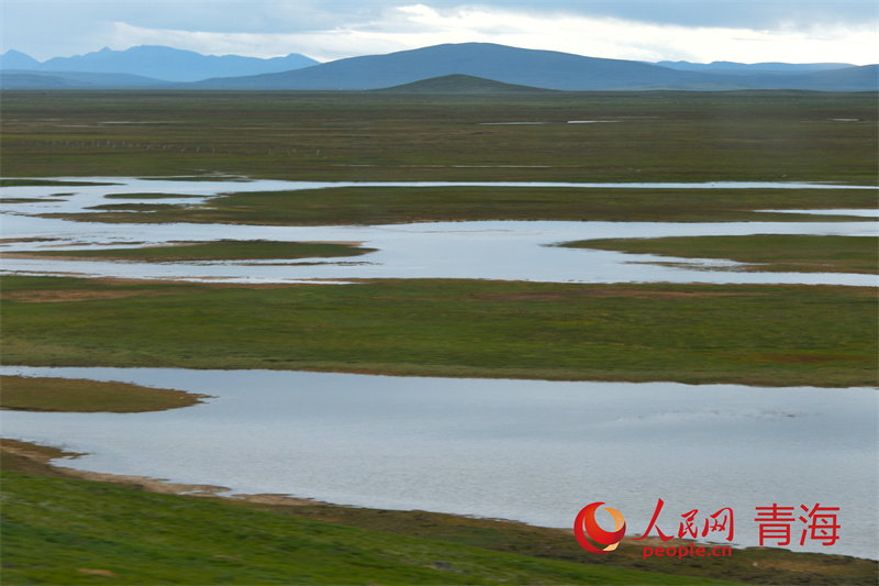 扎陵湖鄉(xiāng)勒那曲濕地。人民網(wǎng)記者 甘海瓊攝