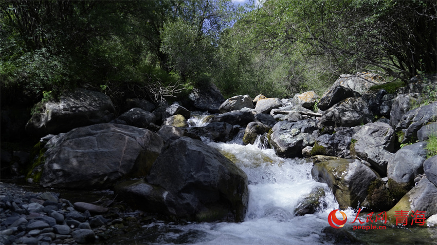 察汗河森林國家公園內(nèi)泉水叮咚。人民網(wǎng) 陳明菊攝
