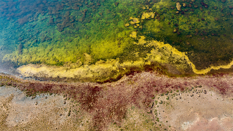秋日冬格措納湖。宋忠勇攝
