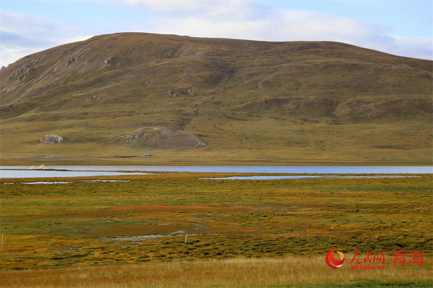 隆寶灘自然保護(hù)區(qū)濕地秋色濃。人民網(wǎng) 陳明菊攝