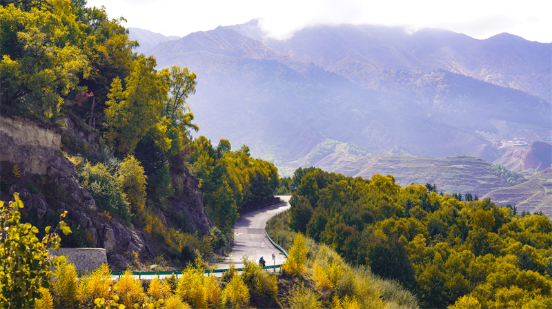 秋韻坎布拉。羊格東智攝