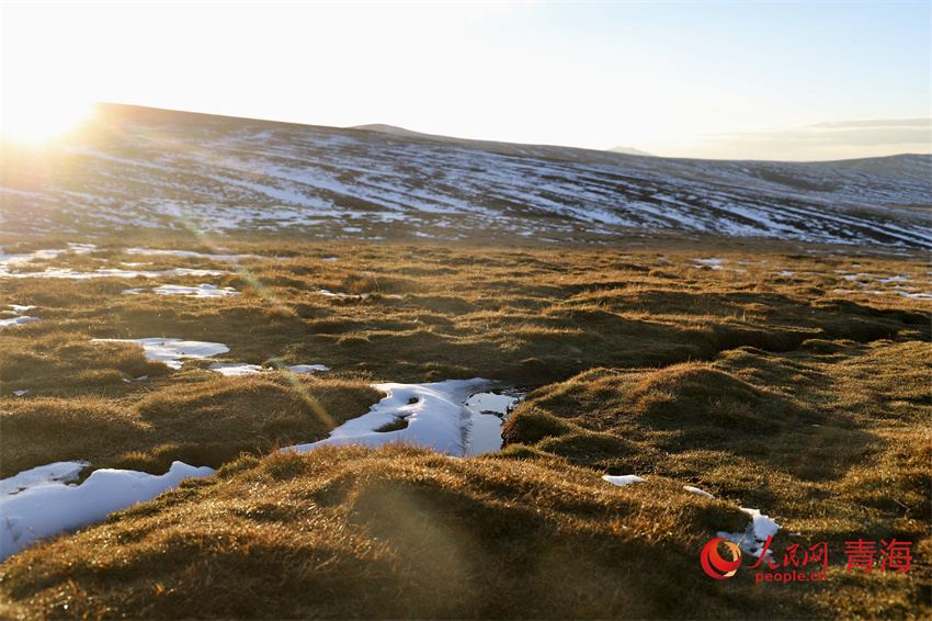 黃河源頭落日余暉。人民網(wǎng) 陳明菊攝
