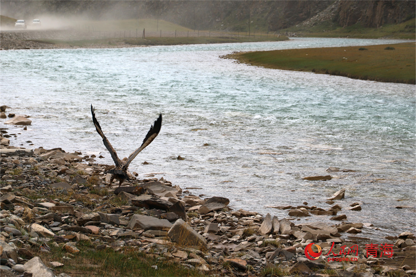 長江干流通天河段。人民網(wǎng) 陳明菊攝