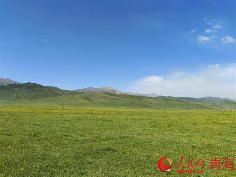 海北風(fēng)光。人民網(wǎng)記者 張莉萍攝