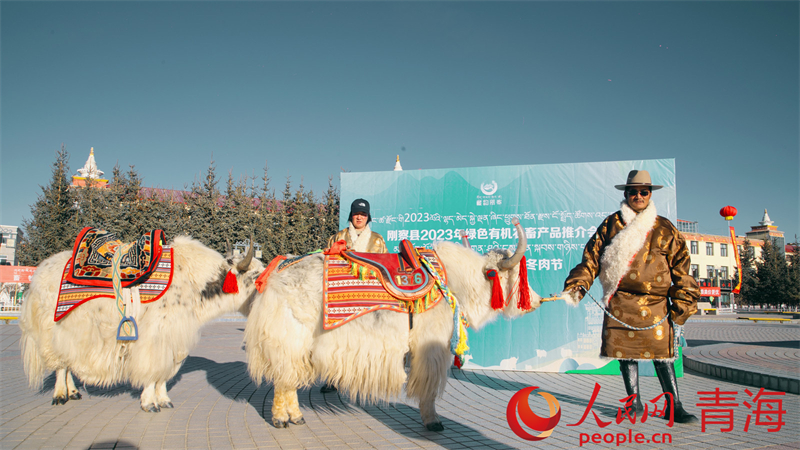 活動現(xiàn)場。人民網(wǎng) 況玉攝