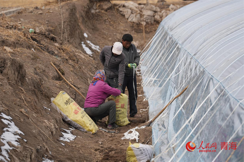 村民整理溫室大棚育苗備耕。人民網(wǎng) 陳明菊攝