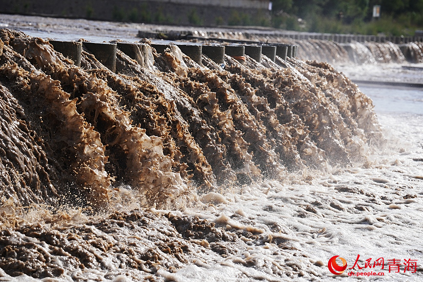 滾滾黃河水。人民網(wǎng) 陳明菊攝