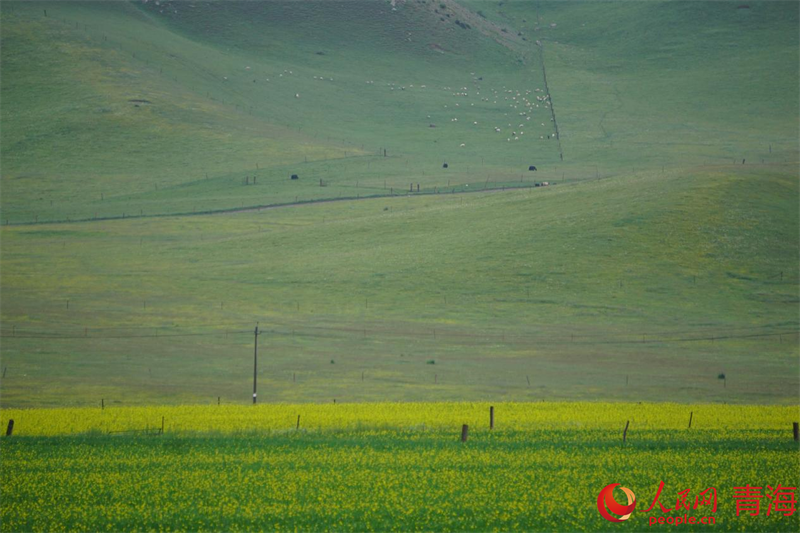 雨后的達(dá)玉五谷村。人民網(wǎng) 況玉攝