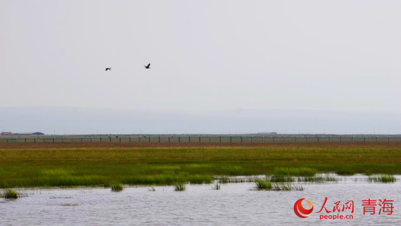 仙女灣景區(qū)。人民網(wǎng) 況玉攝