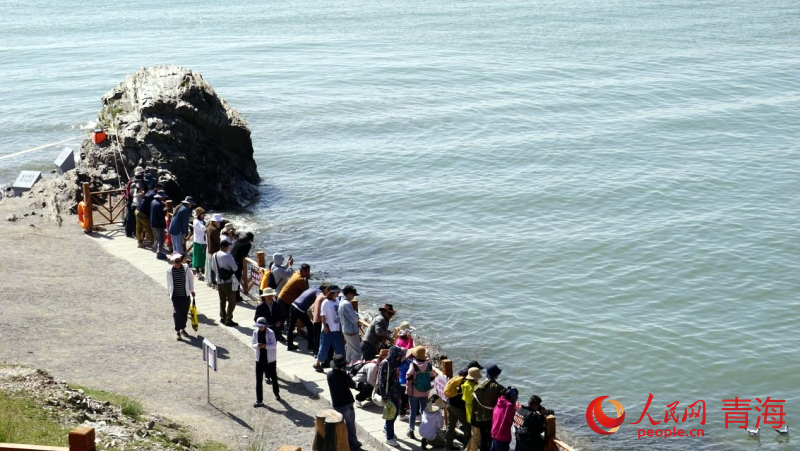 圣泉灣景區(qū)游客觀賞裸鯉。人民網(wǎng) 況玉攝