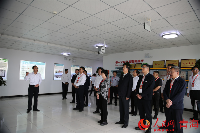 與會嘉賓了解海南州清潔能源產(chǎn)業(yè)發(fā)展情況。人民網(wǎng) 馬可欣攝