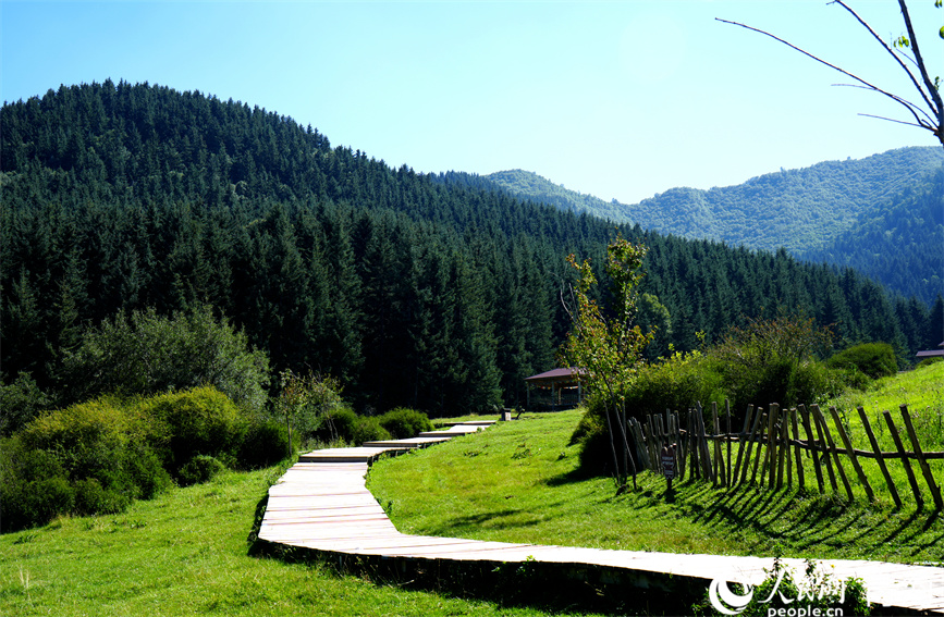 卡陽景區(qū)一角。人民網(wǎng) 顧斐菲攝