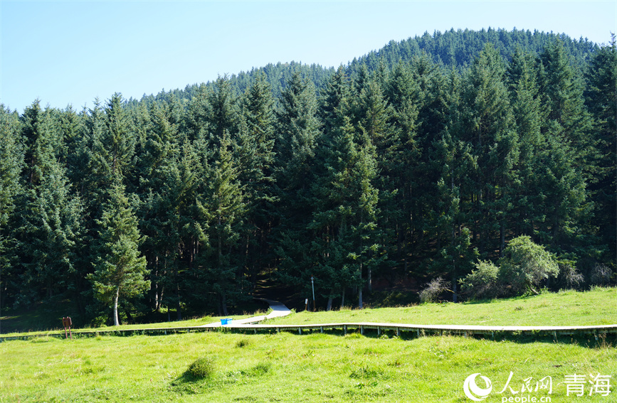 卡陽景區(qū)一角。人民網(wǎng) 顧斐菲攝